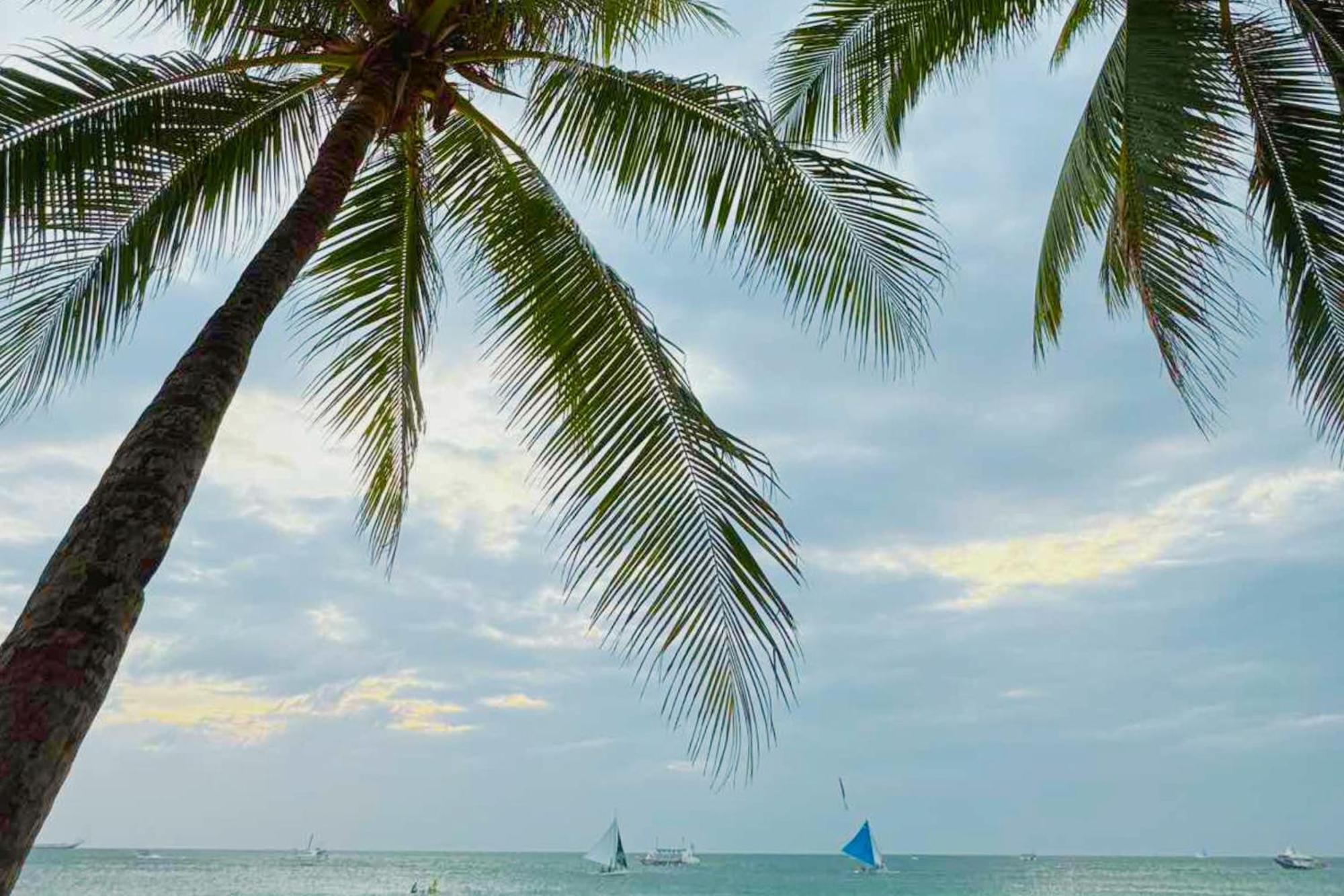 The Muse Boracay 4* Balabag (Boracay)